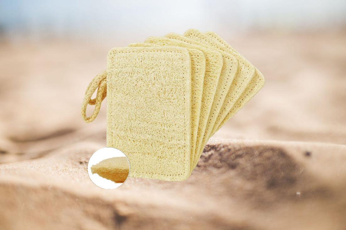 Lot De 6 Éponges Cuisine Écologiques En Luffa Naturel – 100% Biodégradables, Zéro Déchet Et Compostables