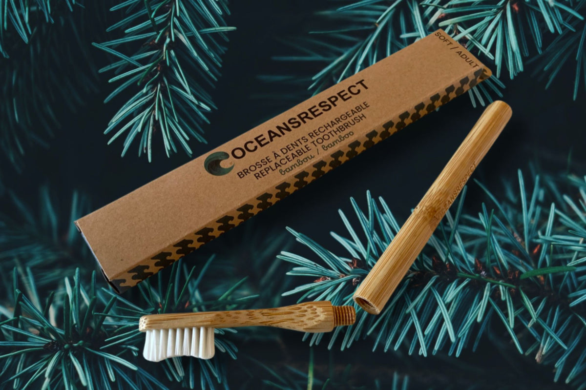 Un Noël Zéro Déchet : Célébrer les Fêtes de Façon Durable