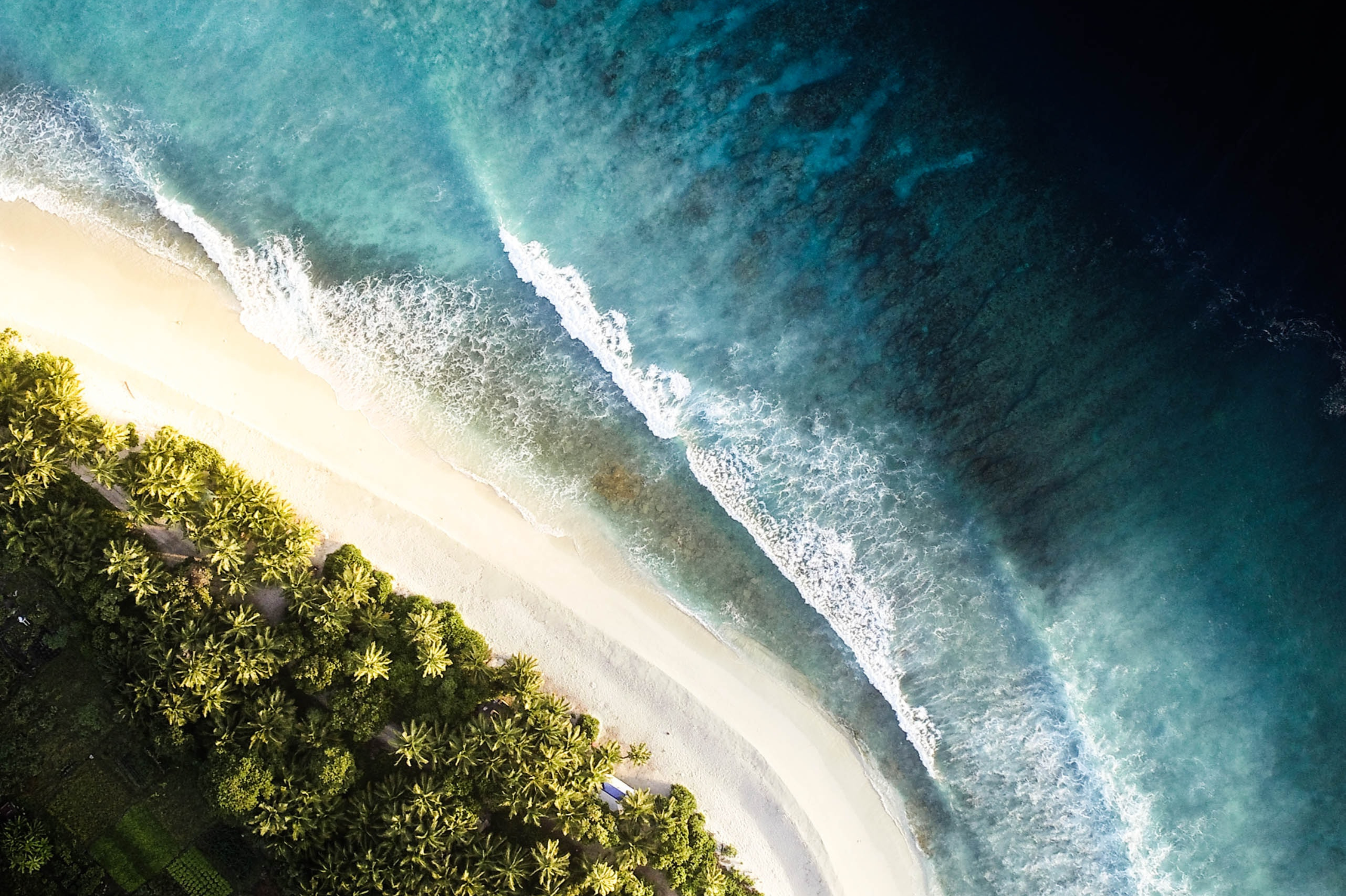 Comment Adopter des Habitudes Éco-Responsables au Quotidien ?