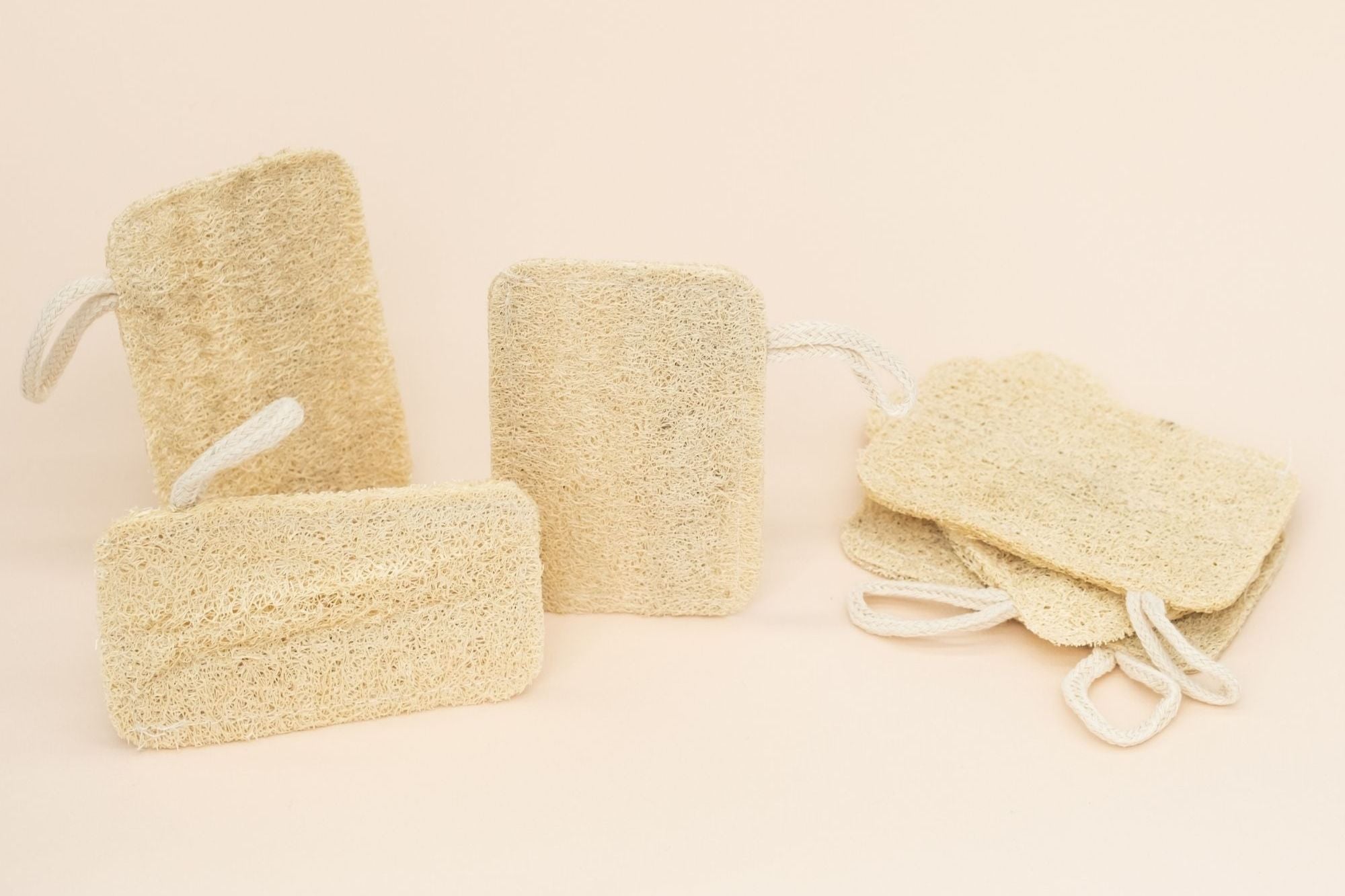 L'Éponge de cuisine en courge luffa : un choix zéro déchet et biodégradable