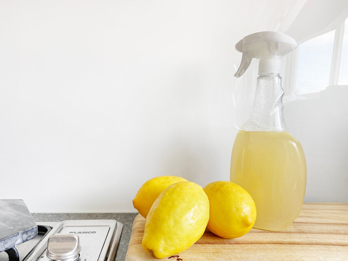 Alternatives Écologiques aux Produits Chimiques Courants