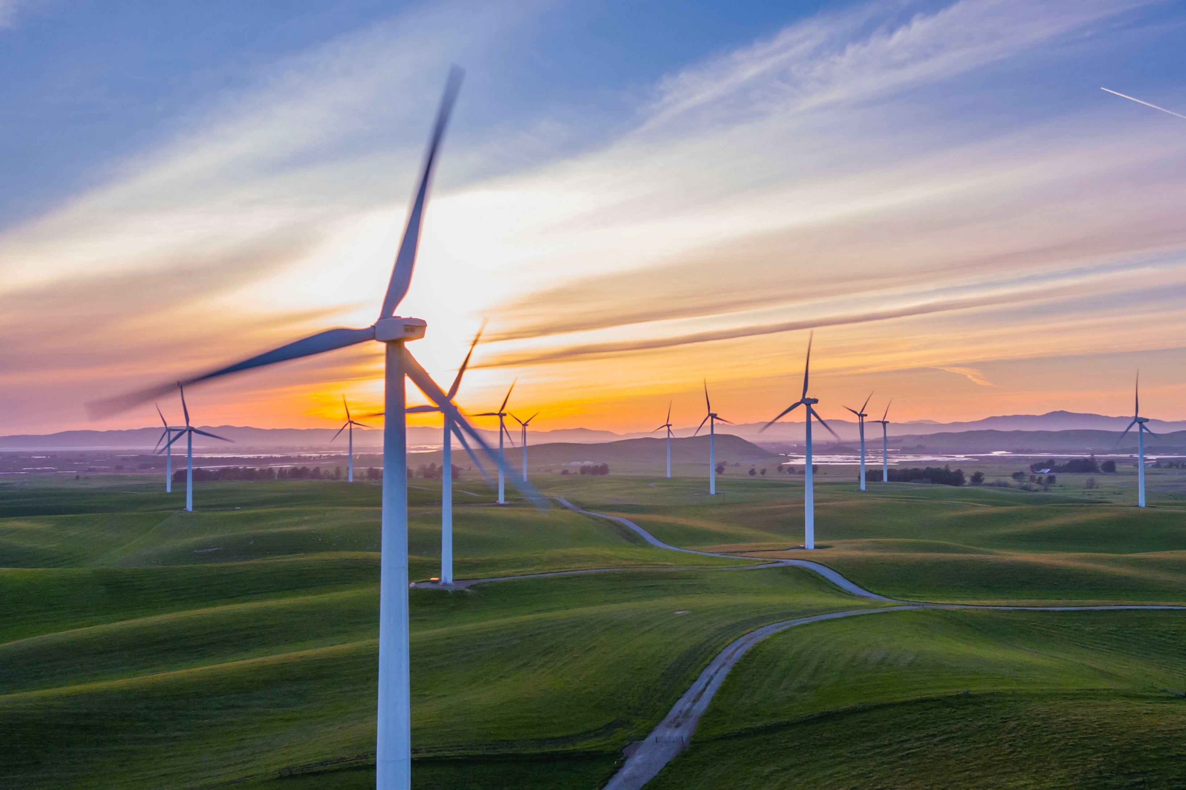 Compensation carbone