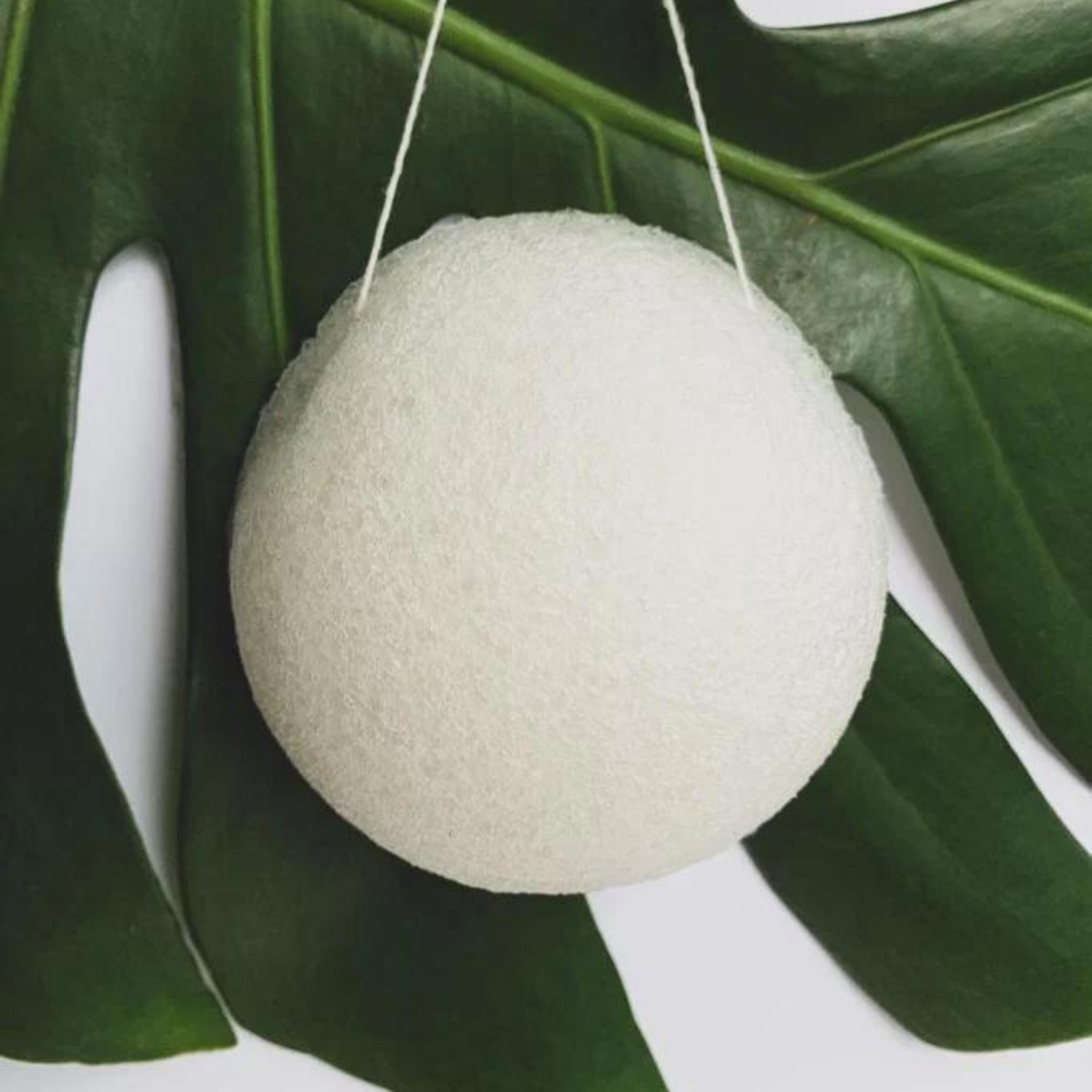 Éponge konjac 100% biodégradable
