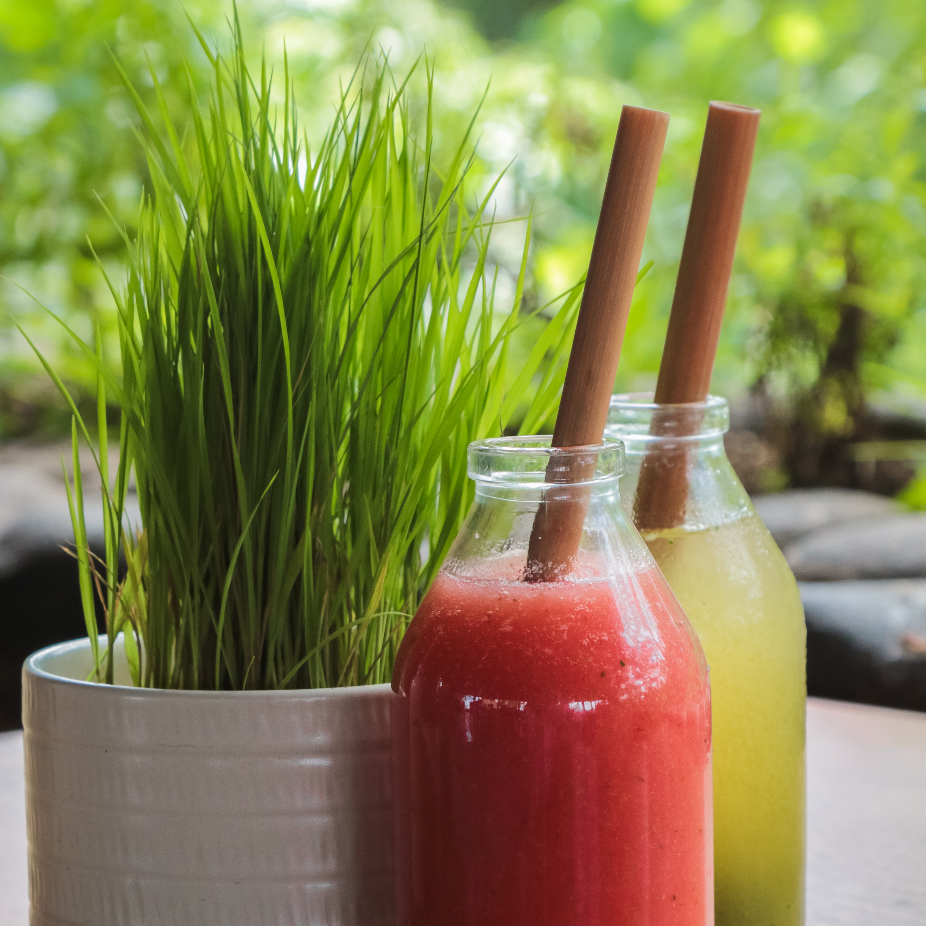 Pailles réutilisables en bambou - Vrac