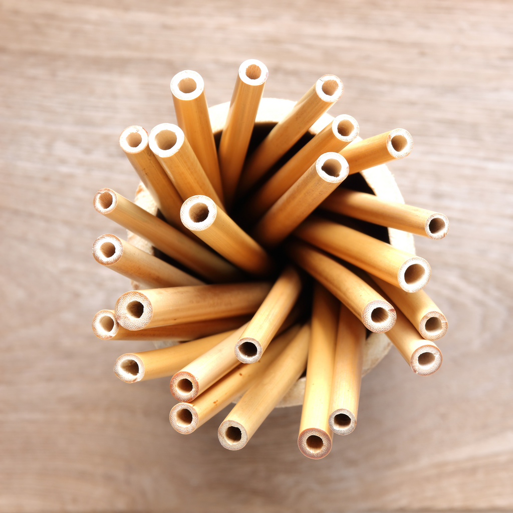 Lot de 4 pailles en bambou + pochette en coton + goupillon