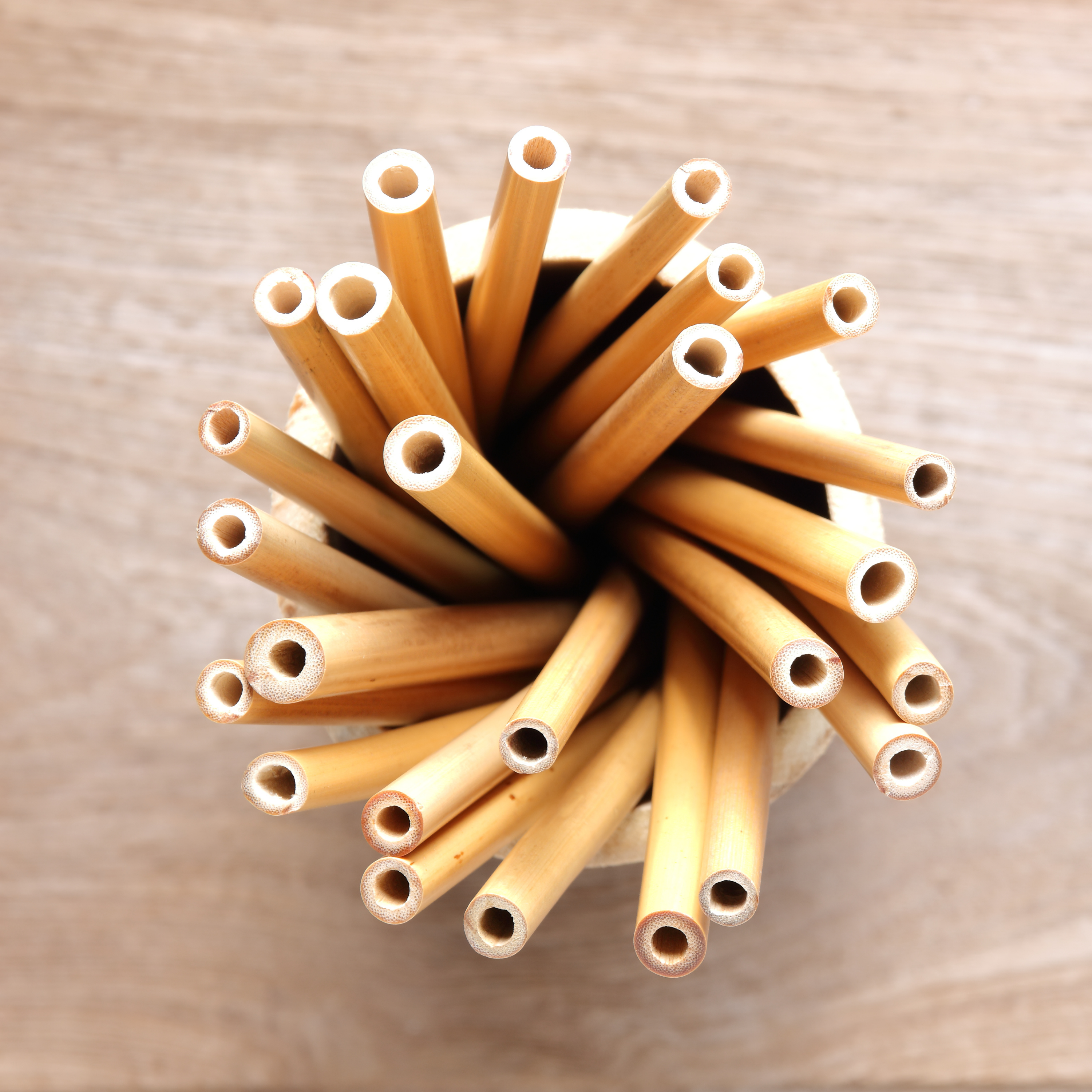 Lot de 4 pailles en bambou + pochette en coton + goupillon