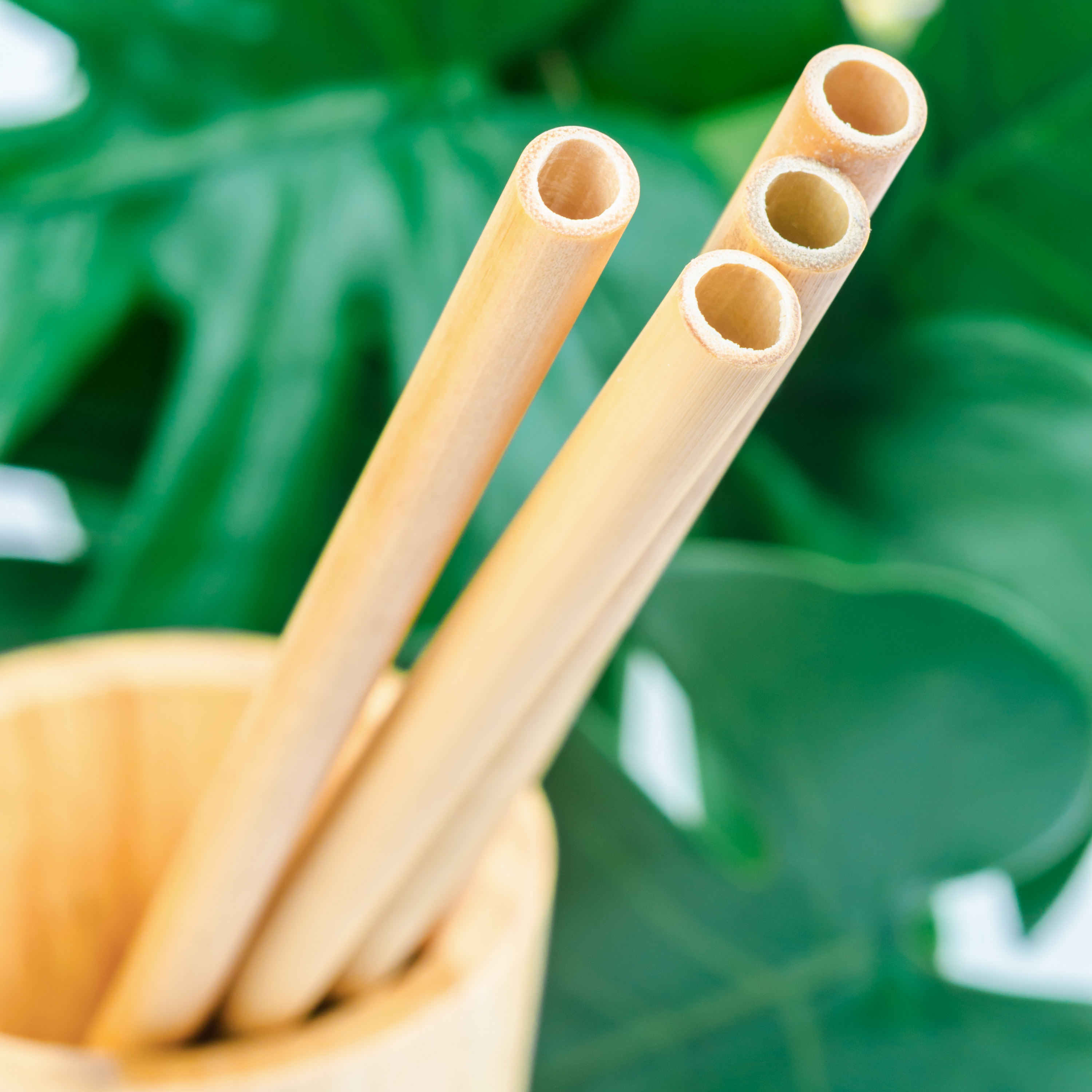 Paille réutilisable en bambou fabriquée en France - Vrac
