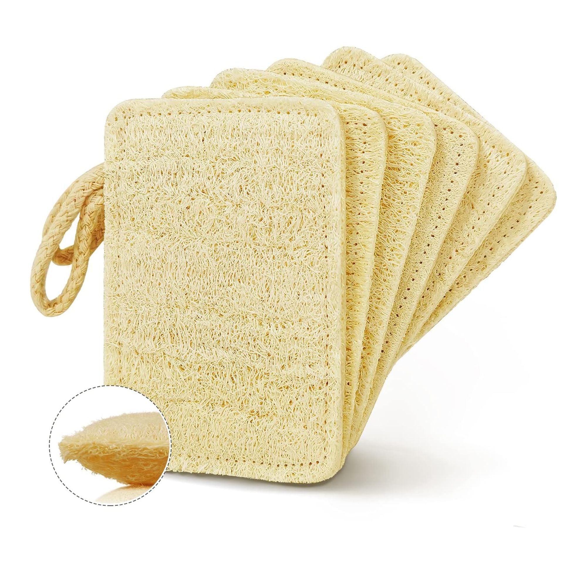 Éponge naturelle et biodégradable en luffa