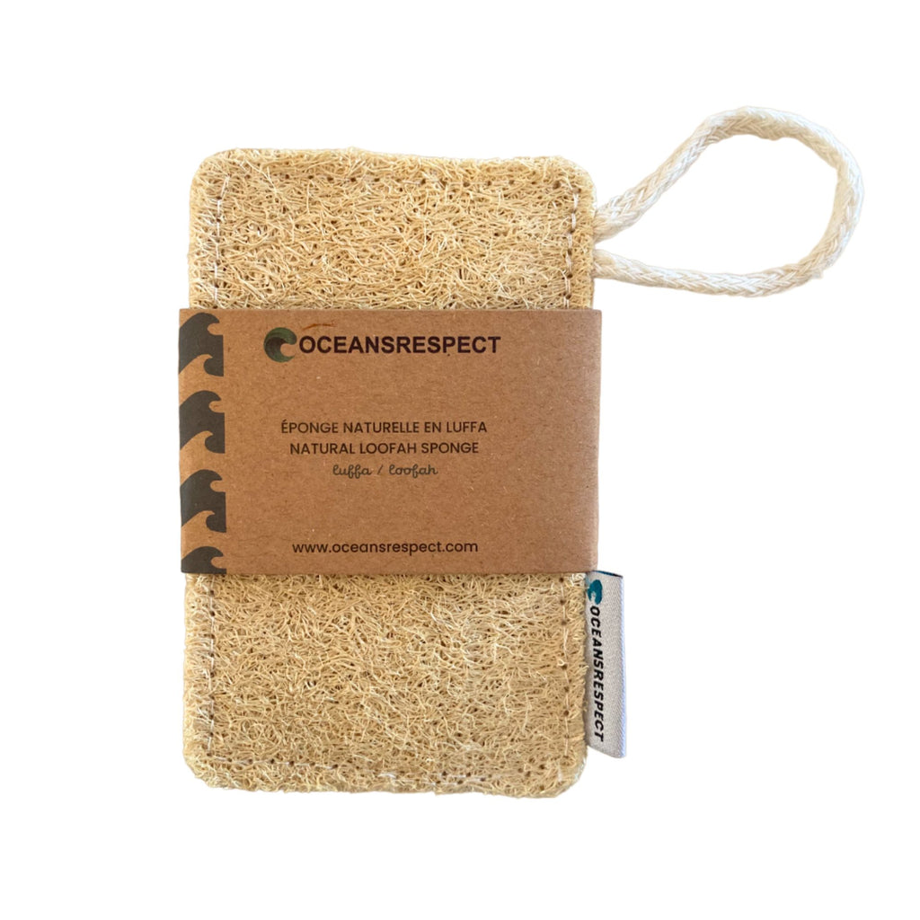 Éponge naturelle et biodégradable en luffa