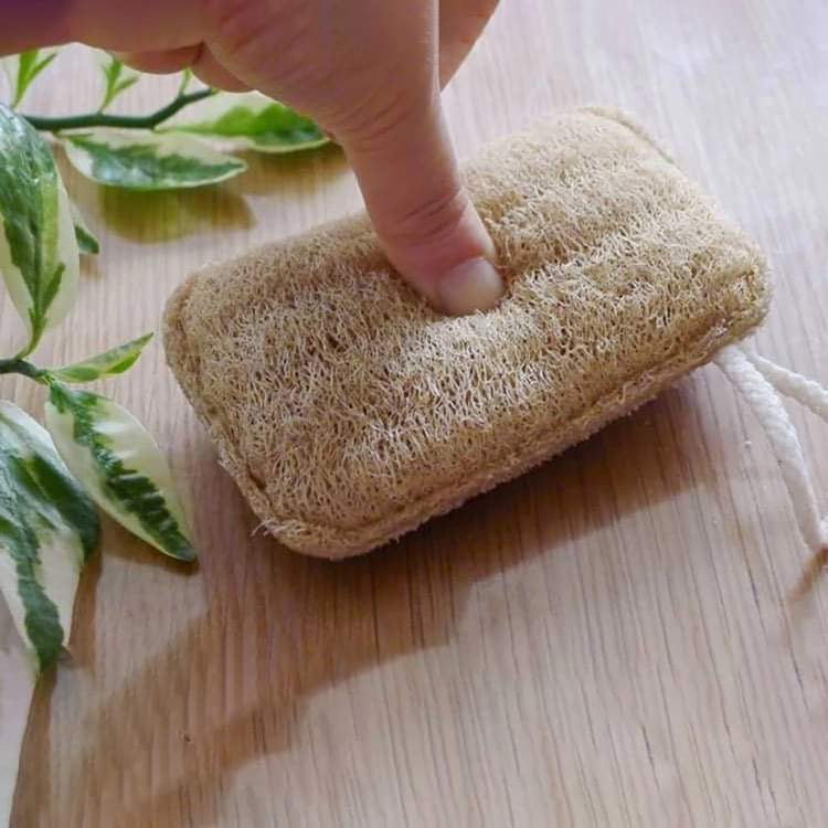 Natural and biodegradable loofah sponge in bulk