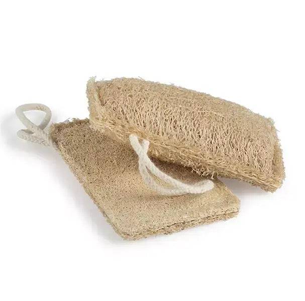 Éponge naturelle et biodégradable en Luffa en vrac - Oceansrespect 🌊🌍🌱
