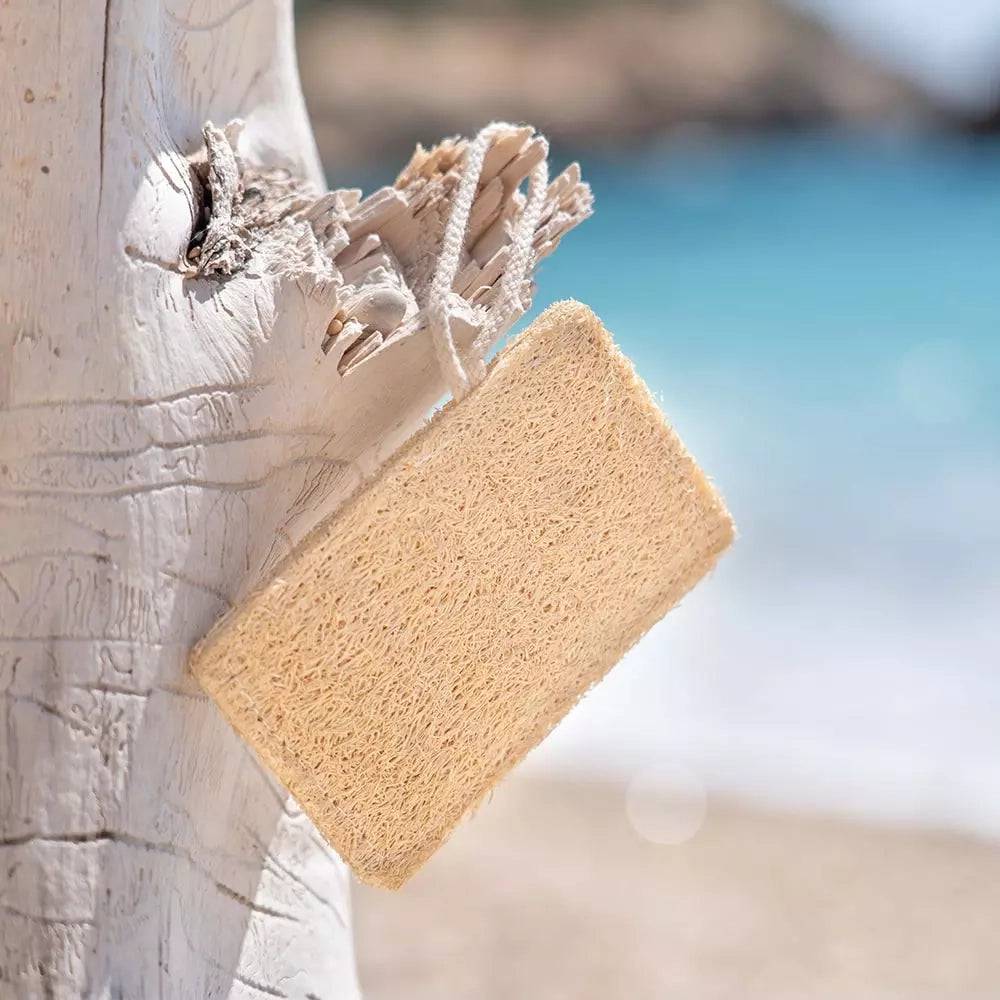 Éponge naturelle et biodégradable en Luffa en vrac - Oceansrespect 🌊🌍🌱