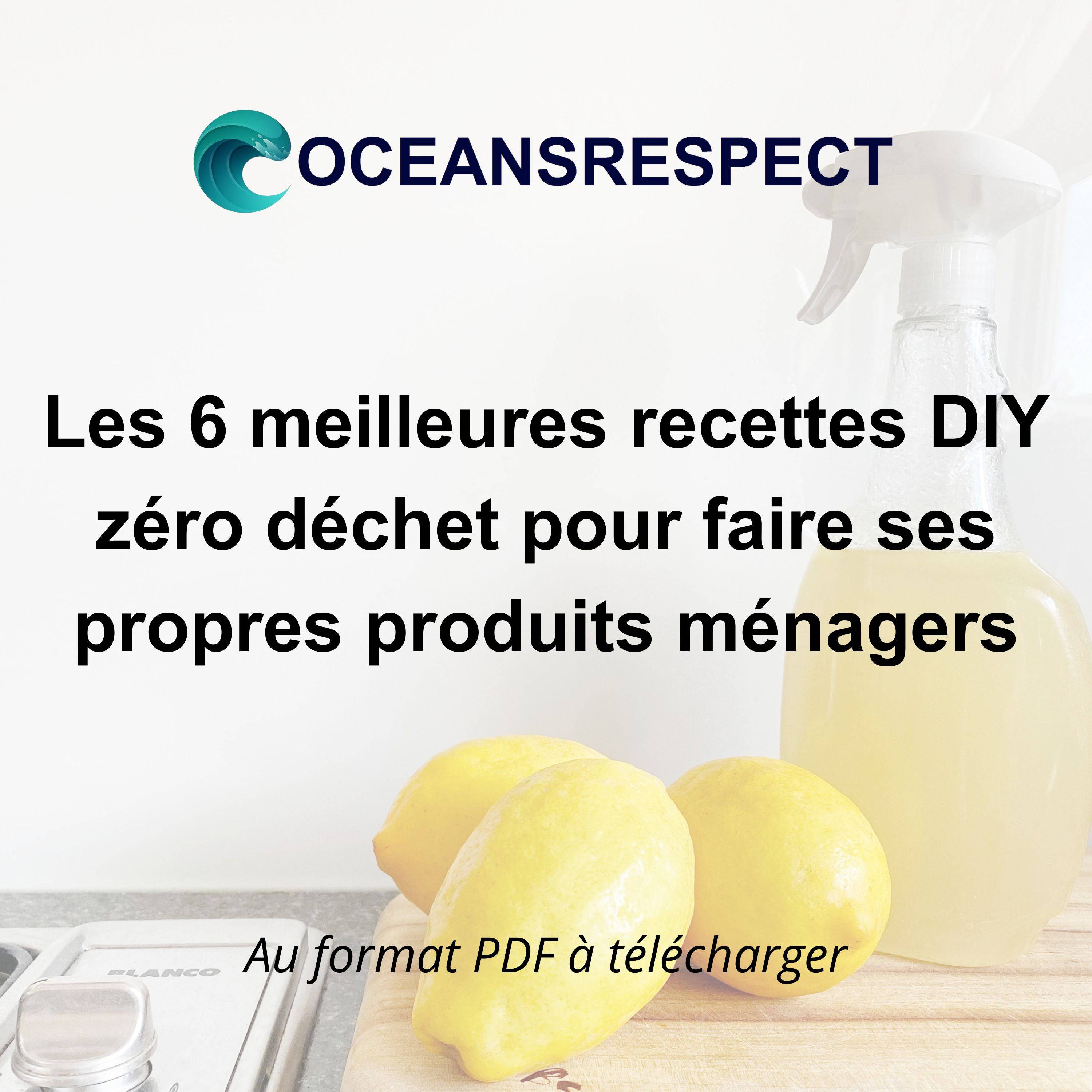 Les 6 meilleures recettes DIY zéro déchet pour faire ses propres produits ménagers - Oceansrespect 🌊🌍🌱