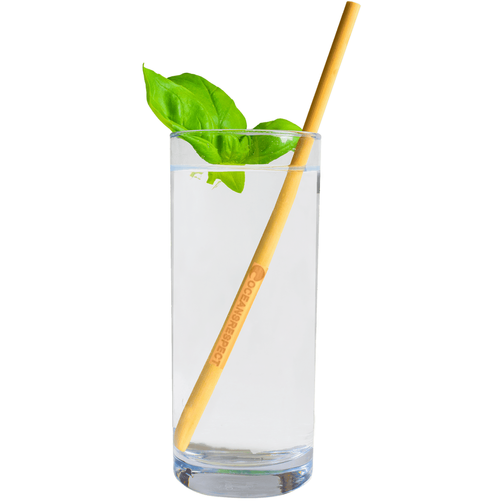 Lot de 6 pailles réutilisables en bambou - Vrac - Oceansrespect 🌊🌍🌱