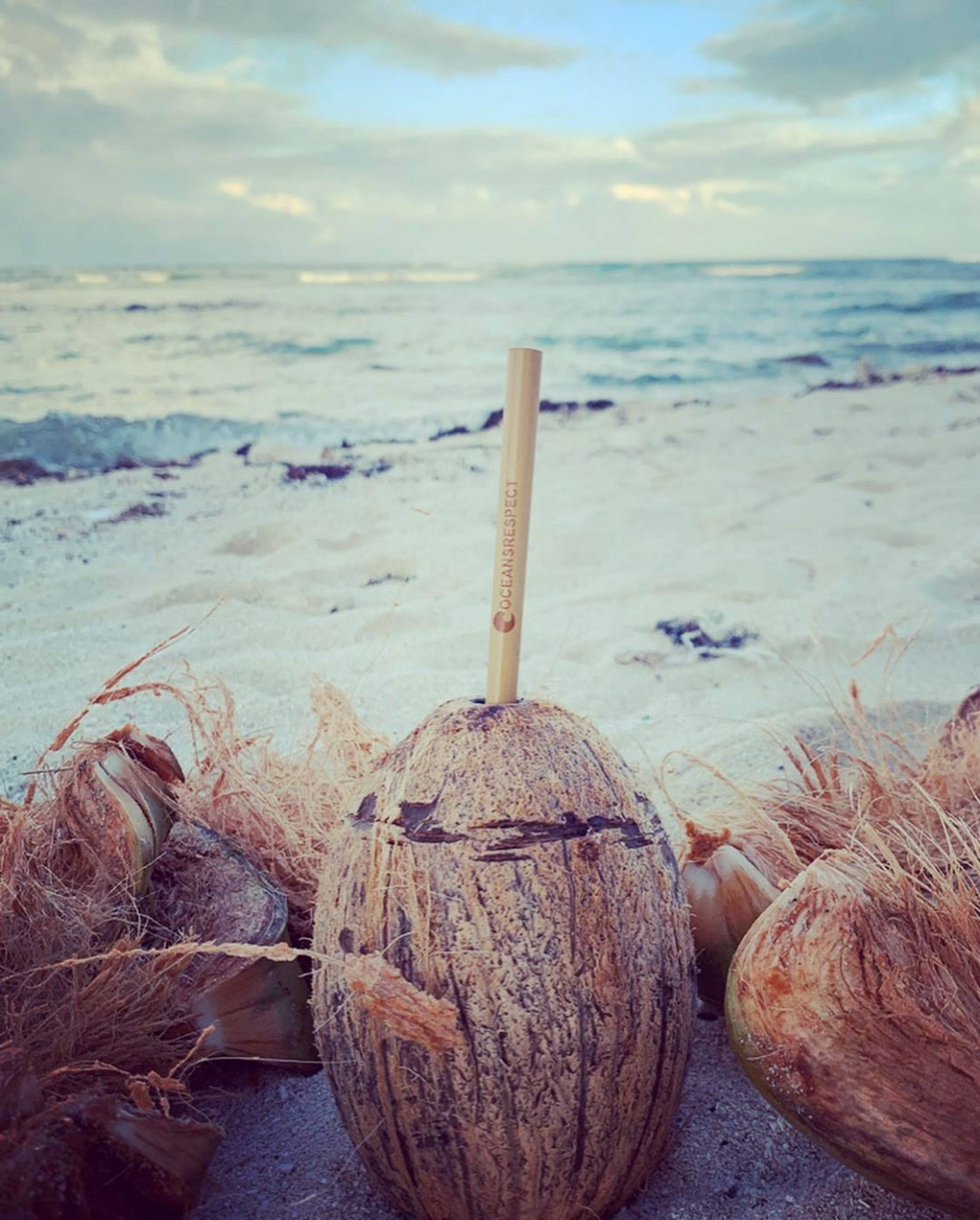 Paille réutilisable en bambou - Vrac - Oceansrespect 🌊🌍🌱
